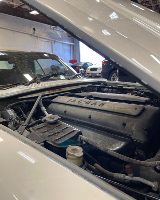 Friday plans: pop the hood and admire the classics. 😎
There’s just something about an old-school Jaguar engine bay that never gets old. What classic European car are you putting in your dream garage?
Wishing you all a safe and happy weekend! 🏁
#kingscrossautomotive #jaguar #jaguarclassic #britishcars #europeanauto #vancouverwa #vancouverwamechanic #portlandcars #pdxauto #pnwcars