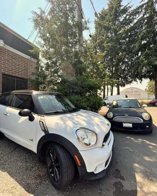 Two MINIs. One service drive. Zero plans to behave this weekend. 🤣 

MINI owners — what are you driving this weekend? Drop your model below. 👇

Whether it's your daily driver, the weekend toy, or the car you swore you weren’t going to modify… Kings Cross Automotive knows MINIs inside and out.

🔧 Diagnostics • Maintenance • Repairs
🏁 MINI + European specialists
📍 Vancouver, WA | Serving the greater Portland/Vancouver area

#MINICooper #MINILife #MINIUSA #EuropeanCars #EuropeanAutoRepair #VancouverWA #PortlandOR #PNWCars #PNWCarScene #KingsCrossAutomotive